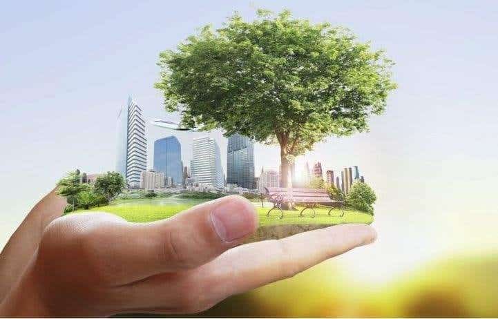 Eco-friendly property management practices