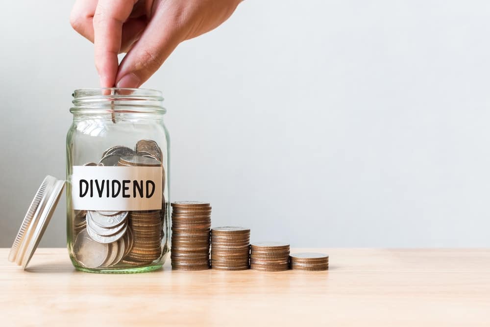 The role of dividends in income investing