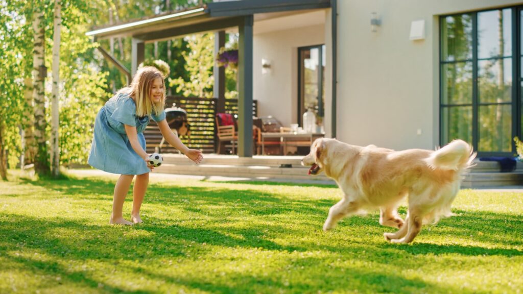 Home insurance for pet owners