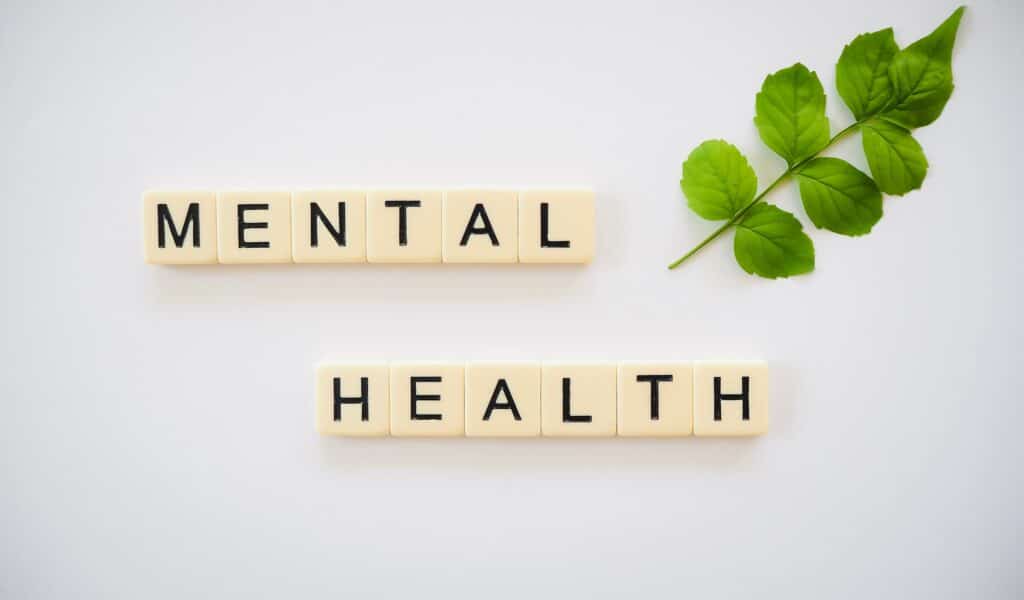 Strategies for a comprehensive approach to mental health